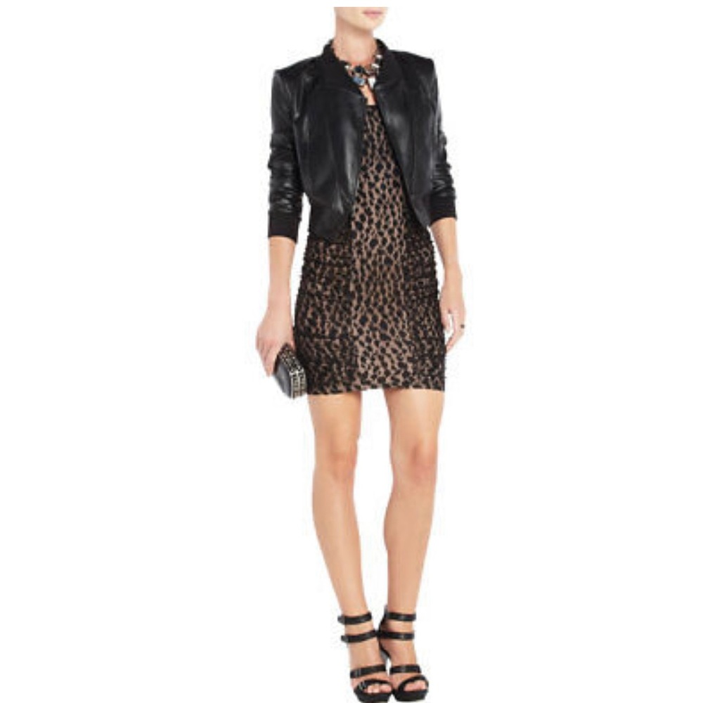 Bcbgmaxazria black leopard bodycon dress
